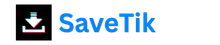 SaveTiktt.com